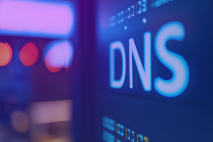 DNS Graphics2